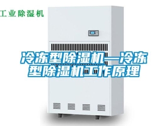 行业新闻冷冻型除湿机—冷冻型除湿机工作原理