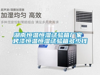 知识百科湖南恒温恒湿试验箱厂家 烤漆恒温恒湿试验箱多少钱