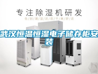 知识百科武汉恒温恒湿电子储存柜安装