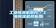 工业除湿机图片／工业除湿机样板图