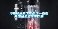 冷冻除湿机工作原理—看看除湿机是如何工作的