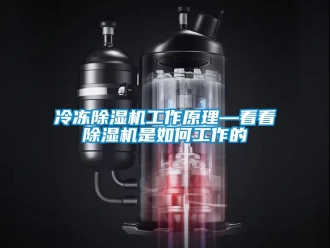行业新闻冷冻除湿机工作原理—看看除湿机是如何工作的