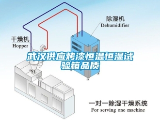 知识百科武汉供应烤漆恒温恒湿试验箱品质