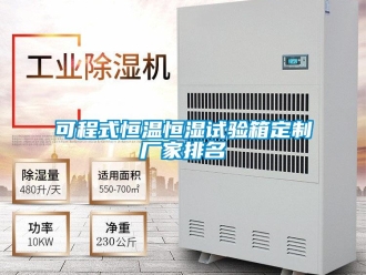 知识百科可程式恒温恒湿试验箱定制厂家排名