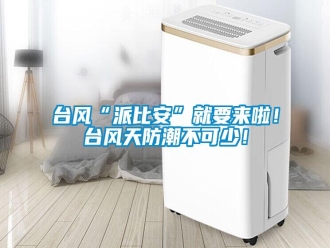 知识百科台风“派比安”就要来啦！台风天防潮不可少！