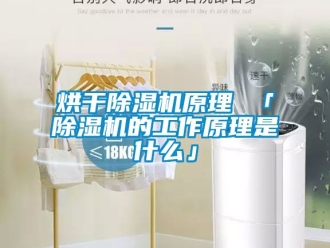 行业新闻烘干除湿机原理 「除湿机的工作原理是什么」