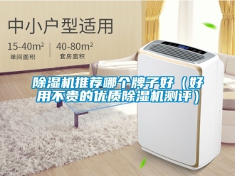 行业新闻除湿机推荐哪个牌子好（好用不贵的优质除湿机测评）