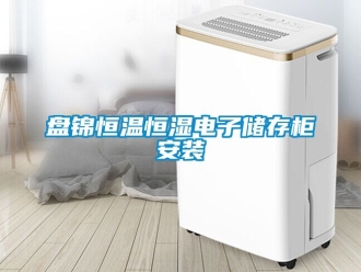 知识百科盘锦恒温恒湿电子储存柜安装