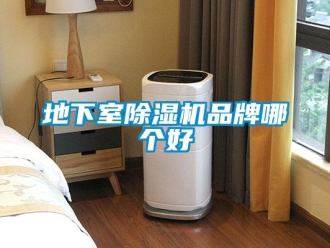 企业新闻地下室除湿机品牌哪个好