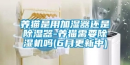 养猫是用加湿器还是除湿器-养猫需要除湿机吗(6月更新中)
