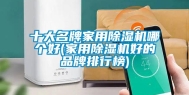 十大名牌家用除湿机哪个好(家用除湿机好的品牌排行榜)