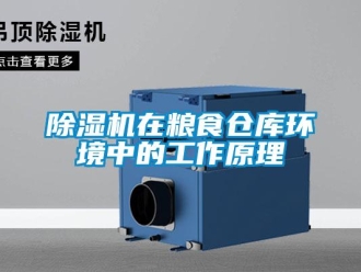 企业新闻除湿机在粮食仓库环境中的工作原理