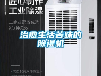 知识百科治愈生活苦味的除湿机