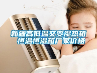 知识百科新疆高低温交变湿热箱 恒温恒湿箱厂家价格