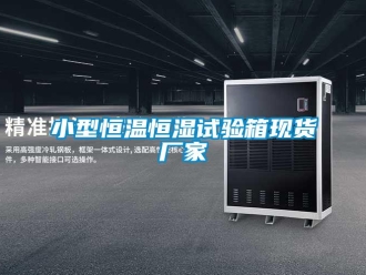 知识百科小型恒温恒湿试验箱现货厂家