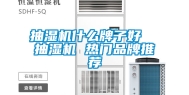 抽湿机什么牌子好  抽湿机 热门品牌推荐