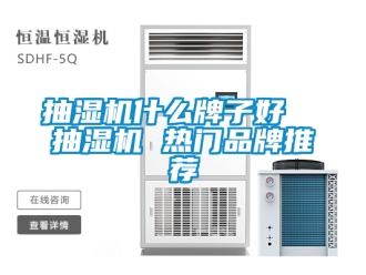 企业新闻抽湿机什么牌子好  抽湿机 热门品牌推荐