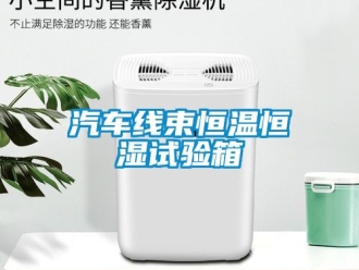 知识百科汽车线束恒温恒湿试验箱
