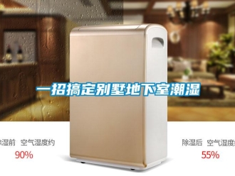 企业新闻一招搞定别墅地下室潮湿