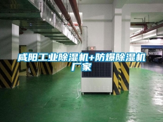 企业新闻咸阳工业除湿机+防爆除湿机厂家