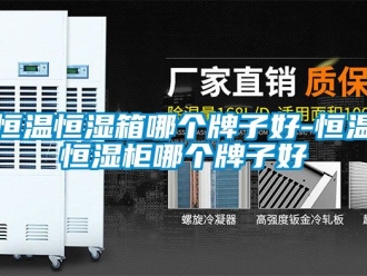 知识百科恒温恒湿箱哪个牌子好-恒温恒湿柜哪个牌子好