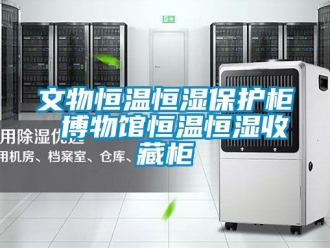 知识百科文物恒温恒湿保护柜 博物馆恒温恒湿收藏柜