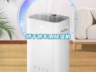 行业新闻烘干房专用除湿机