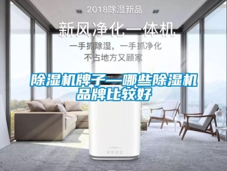 企业新闻除湿机牌子—哪些除湿机品牌比较好