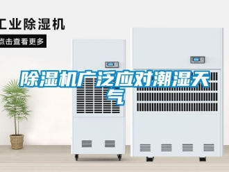 常见问题除湿机广泛应对潮湿天气