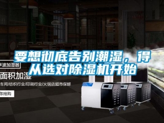 知识百科要想彻底告别潮湿，得从选对除湿机开始