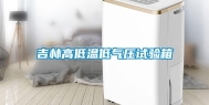 吉林高低温低气压试验箱