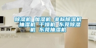 除湿机 加湿机 非标除湿机 抽湿机 干燥机 东莞除湿机 东莞抽湿机