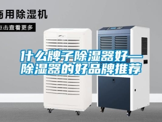 行业新闻什么牌子除湿器好—除湿器的好品牌推荐