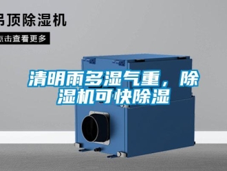 行业新闻清明雨多湿气重，除湿机可快除湿