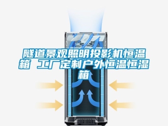知识百科隧道景观照明投影机恒温箱 工厂定制户外恒温恒湿箱