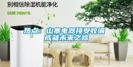 热点：山寨电器接受收编 成就未来之路