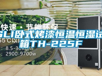 常见问题ASLI卧式烤漆恒温恒湿试验箱TH-225F