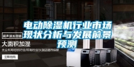 电动除湿机行业市场现状分析与发展前景预测