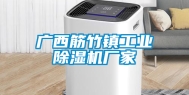 广西筋竹镇工业除湿机厂家