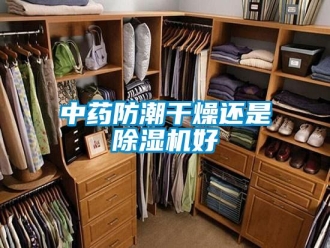 知识百科中药防潮干燥还是除湿机好