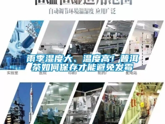 常见问题雨季湿度大、温度高！普洱茶如何保存才能避免发霉