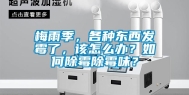 梅雨季，各种东西发霉了，该怎么办？如何除霉除霉味？