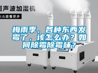 常见问题梅雨季，各种东西发霉了，该怎么办？如何除霉除霉味？
