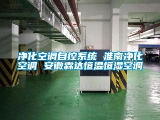 知识百科净化空调自控系统 淮南净化空调 安徽霖达恒温恒湿空调