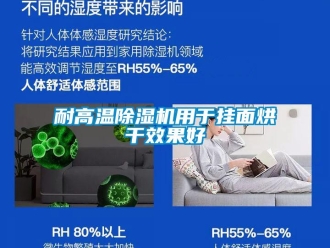 行业新闻耐高温除湿机用于挂面烘干效果好