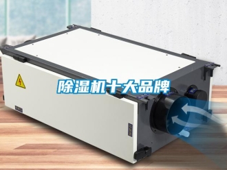 企业新闻除湿机十大品牌