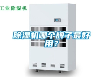 行业新闻除湿机哪个牌子最好用？