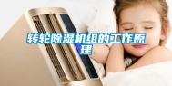 转轮除湿机组的工作原理