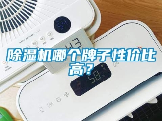 行业新闻除湿机哪个牌子性价比高？