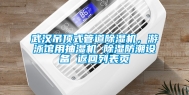 武汉吊顶式管道除湿机，游泳馆用抽湿机 除湿防潮设备 返回列表页